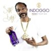 Indoggo Gin 750ML