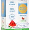 High Noon Watermelon 4 Pk 12OZ - Image 2