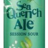 Dogfish Head 90 Minute Ipa Bomber BOMBR